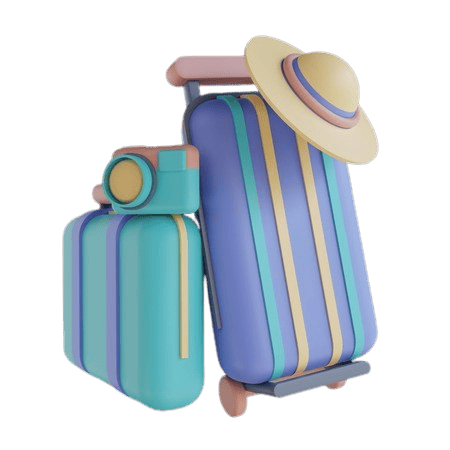 travel luggage